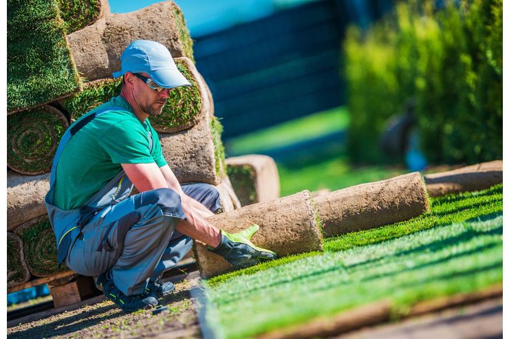 Rollrasen Profi Wien verlegen - Gartendekoraktion - Bild 1