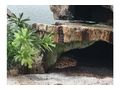 Terrarium Leopardgeckos - Terrarien Zubeh�r - Bild 4
