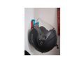 Spezial Anwendung Reperaturen kfz bike - Auto & Motorrad - Bild 16