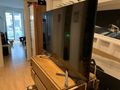 ASUS ROG pg65uq 65 Inch 4K Monitor - > 21,9 Zoll - Bild 1