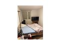WG Zimmer vermieten - Zimmer - Bild 3
