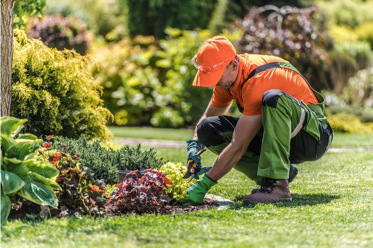 Wir pflegen Ihren Garten - Gartendekoraktion - Bild 1