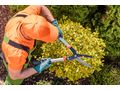 Wir pflegen Ihren Garten - Gartendekoraktion - Bild 2