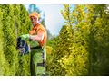 Wir pflegen Ihren Garten - Gartendekoraktion - Bild 3