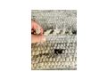 Echter Schafwolle Teppich - Kissen, Decken & Textilien - Bild 3