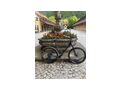 MTB - Mountainbikes & Trekkingr�der - Bild 9