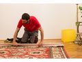 Umzug Nieder�sterreich Schnell Sicher - Transportdienste - Bild 2
