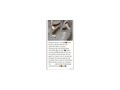 Klauenpflege Heimtier Schwein Ziege Schaf Rind - Tier�rzte - Bild 6