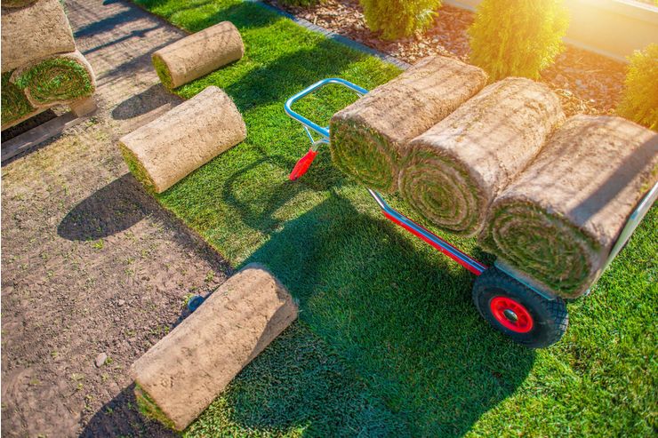 Rollrasen Profi - Gartendekoraktion - Bild 1