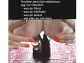reifer Schmusekater weibliches - Freundschaft & Unternehmungen - Bild 2