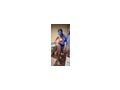 HB Wien Reifes Duo putzt Nackt - Entspannung & Massage - Bild 15