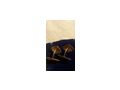 Manschettenkn�pfe vintage - Krawattennadeln & Manschettenkn�pfe - Bild 6