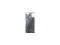 Citro�n C4 Picasso - Autos Citro�n - Bild 6