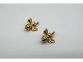 Vergoldete System Einh�nger - Ohrschmuck - Bild 2