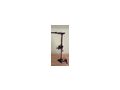 elektromoteor hunter boot - Au�enborder & Innenbordmotoren - Bild 1