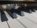 Schimmel Wilhelm Klavier - Klaviere & Pianos - Bild 3