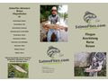 2 Tage Fliegenfischen Basiskurs - Sport - Bild 11