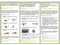 2 Tage Fliegenfischen Basiskurs - Sport - Bild 12