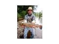 2 Tage Fliegenfischen Basiskurs - Sport - Bild 2