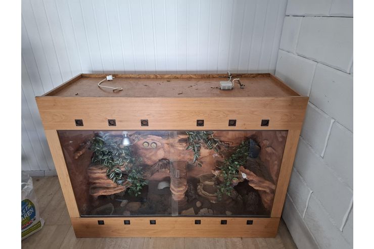 W�stenterrarium - Terrarien Zubeh�r - Bild 1