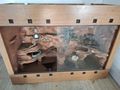 W�stenterrarium - Terrarien Zubeh�r - Bild 2