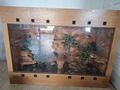 W�stenterrarium - Terrarien Zubeh�r - Bild 3