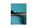 Gibson ES 335 Custom BJ 2008 USA - E-Gitarren & B�sse - Bild 5