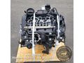 CBD Motor 2 0TDI Skoda VW 124 000km - Motoren (Komplettmotoren) - Bild 1