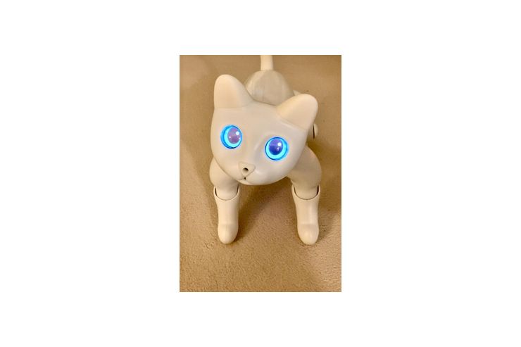 Marscat Roboter KI - Weitere Games - Bild 1