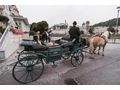Salzburg Convention Bureau - Wirtschaft, Finanzen & Recht - Bild 4