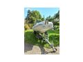 Festrumpfschlauchboot Tigermarine - Motorboote & Yachten - Bild 12