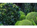 Moderner Garten Naturstein - Gartendekoraktion - Bild 3