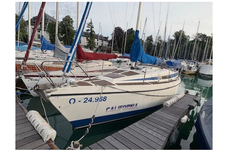 BAVARIA 890 - Surfen - Bild 1
