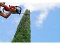 Gartenpflege Wien Umgebung - Gartendekoraktion - Bild 2