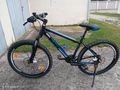 Jugend Mountainbike - Mountainbikes & Trekkingr�der - Bild 1