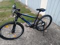 Jugend Mountainbike - Mountainbikes & Trekkingr�der - Bild 6