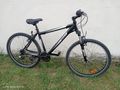 Jugend Mountainbike - Mountainbikes & Trekkingr�der - Bild 1