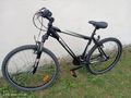Jugend Mountainbike - Mountainbikes & Trekkingr�der - Bild 3