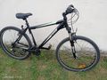 Jugend Mountainbike - Mountainbikes & Trekkingr�der - Bild 7