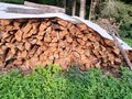 Brennholz Kastanie Weichholz Fichte - Brennholz & Pellets - Bild 2