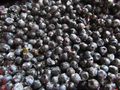 Waldheidelbeeren M�hlviertel - Nahrungserg�nzungsmittel - Bild 1