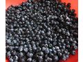 Waldheidelbeeren M�hlviertel - Nahrungserg�nzungsmittel - Bild 2
