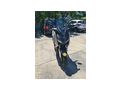 Yamaha X Max 125 - Yamaha - Bild 4