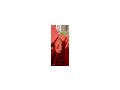 Ladewagen - Landmaschinen & Agrarger�te - Bild 2