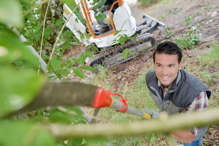 Ihr Garten Leidenschaft - Gartendekoraktion - Bild 1