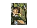 Zwergkaninchen - Kaninchen & Hasen - Bild 5