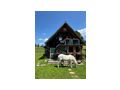 Zimmerm�dchen K�chenhilfe m w d - Jobs Gastronomie & Tourismus - Bild 3