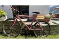 Liebhaberfahrrad 35 Jahre alt - Mountainbikes & Trekkingr�der - Bild 5