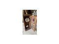 Alte Musikinstrumente - Antiquit�ten, Sammeln & Kunstwerke - Bild 11