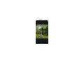 W�schesspinne Berger Camping - Gartenger�te - Bild 2